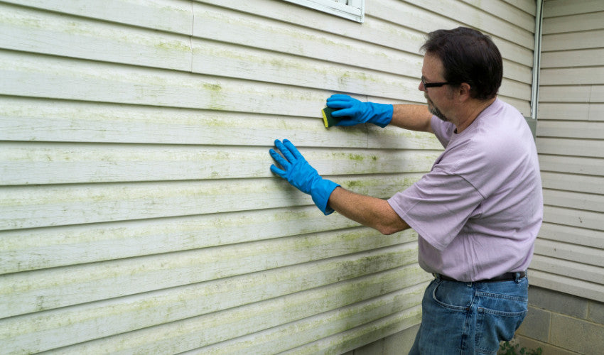Siding Savvy: A Comprehensive Guide to Maintaining Different Siding Types