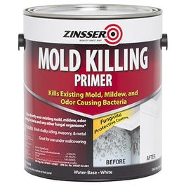 Mold Killing Primer, Gallon