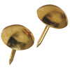 Hillman Fastener Corp Large Round Brass Furniture Nail (25 Ct.)