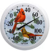 Taylor Cardinal Springfiel Snow Thermometer